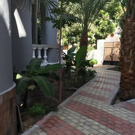 Villa Elkoumy Apartments Luxor Exterior photo