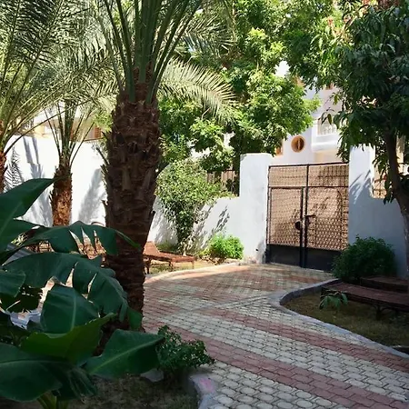 Villa Elkoumy Apartments Luxor Exterior photo